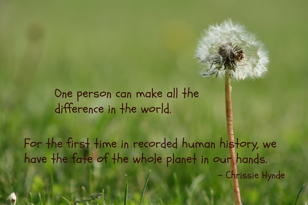 eco-friendly-quote-Hynde-1024x682